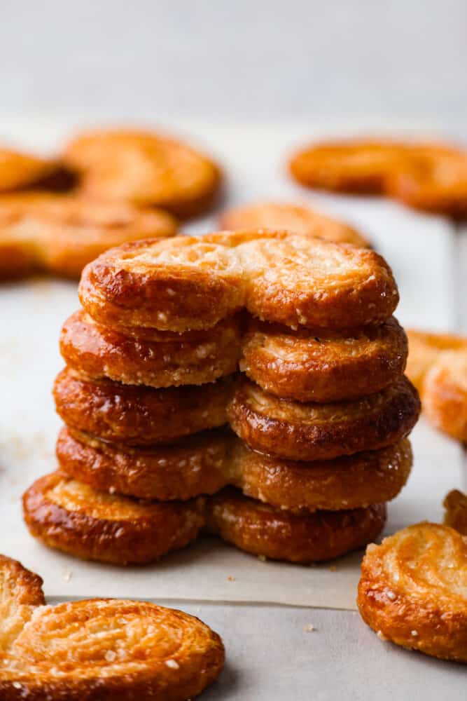 5 palmiers stacked on top of each other.