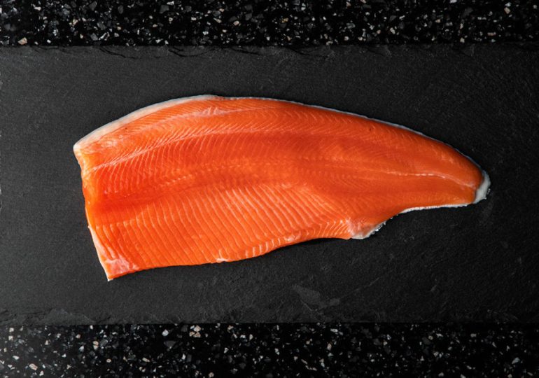 Seafood industry entrepreneurs back salmon startup