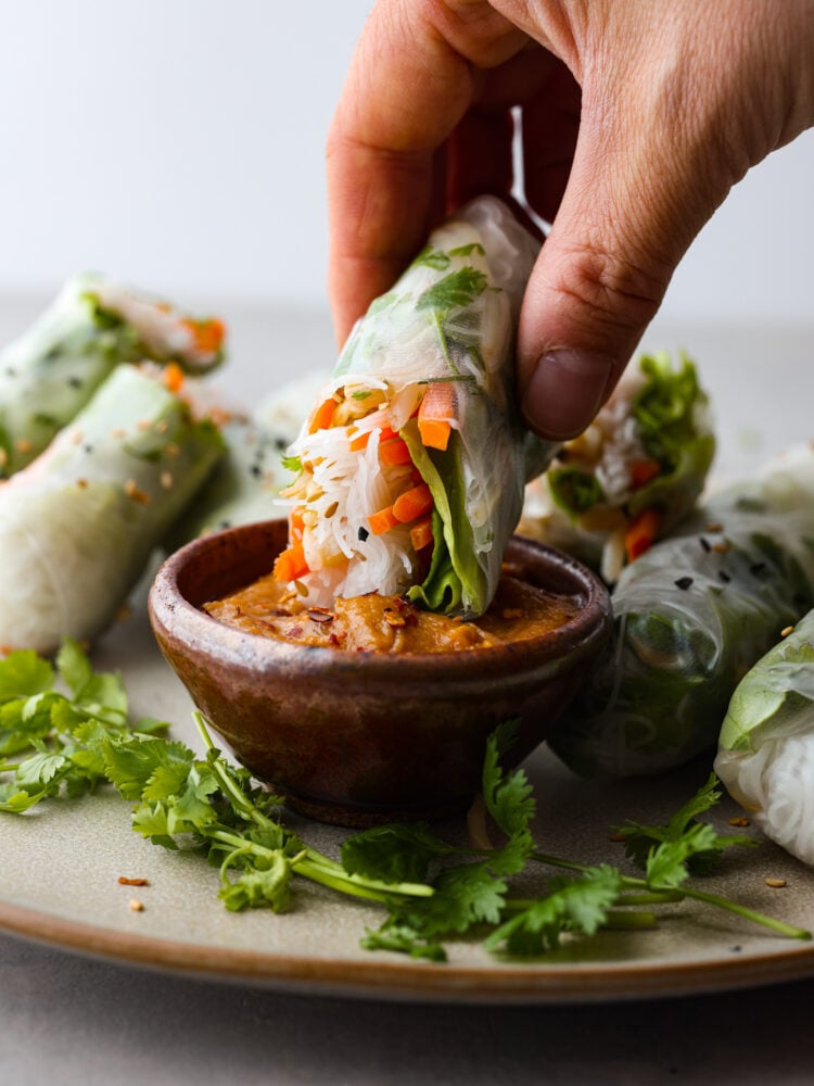 Dipping a Vietnamese summer roll into peanut sauce.