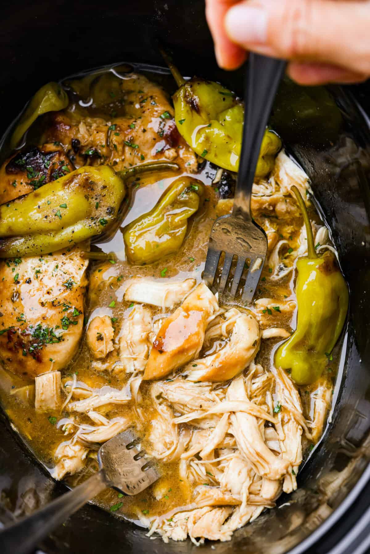 Crockpot Mississippi Chicken being shredded with 2 forks.