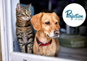 Post acquires Perfection Pet Foods