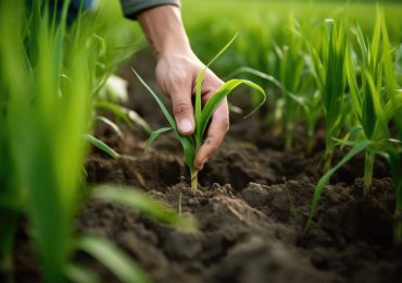 Building trust key to regenerative ag success, ADM says