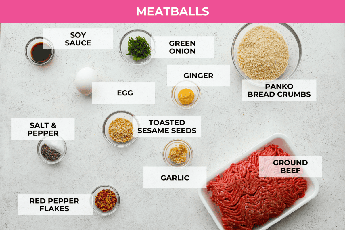 overhead shot of labeled meatball ingredients. 