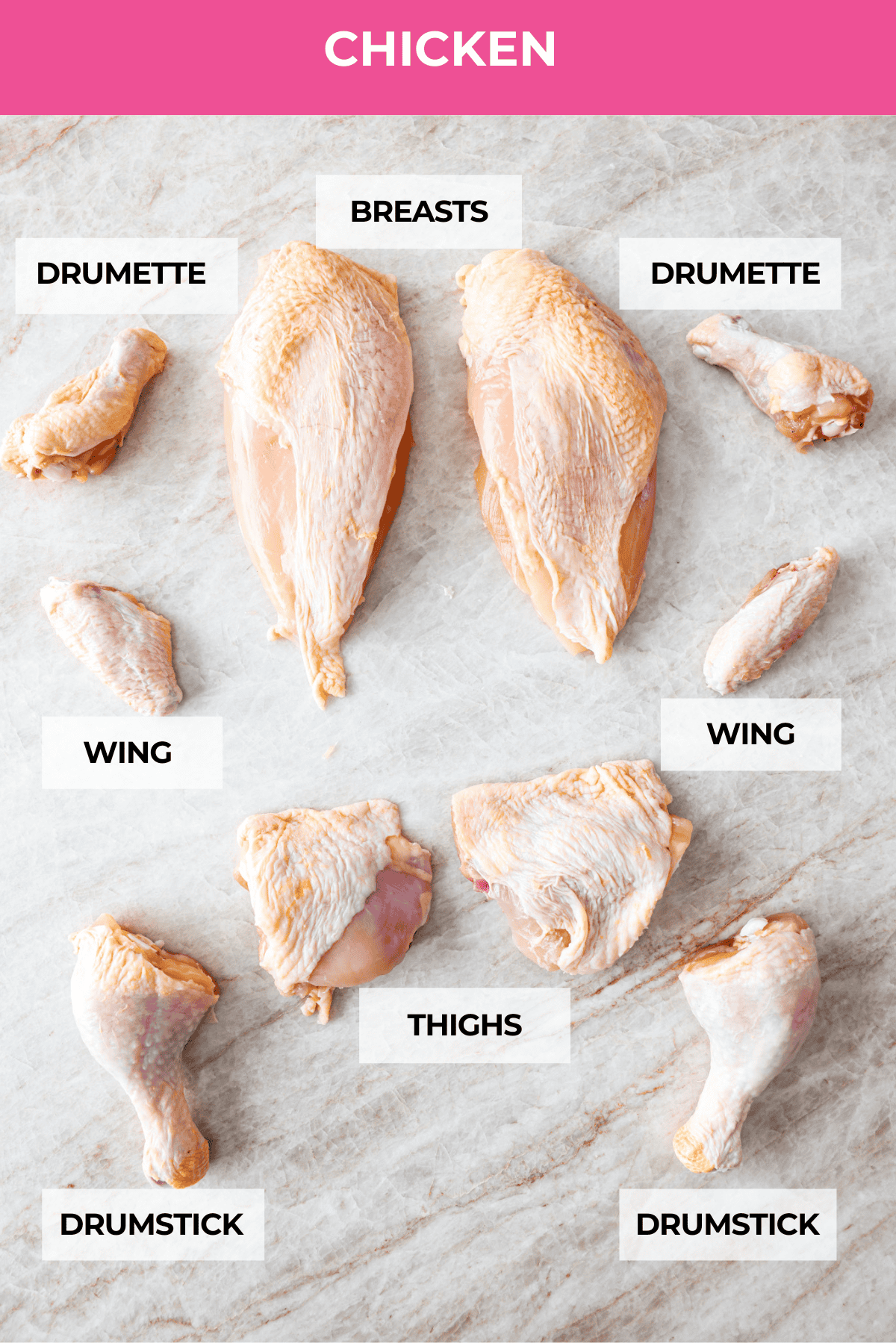 Cuts of chicken labeled.